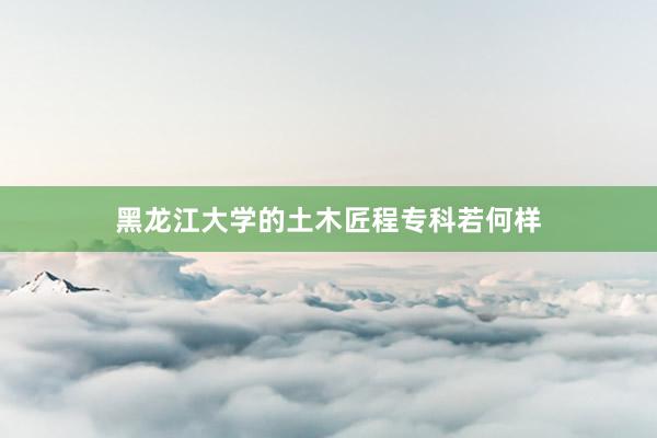 黑龙江大学的土木匠程专科若何样